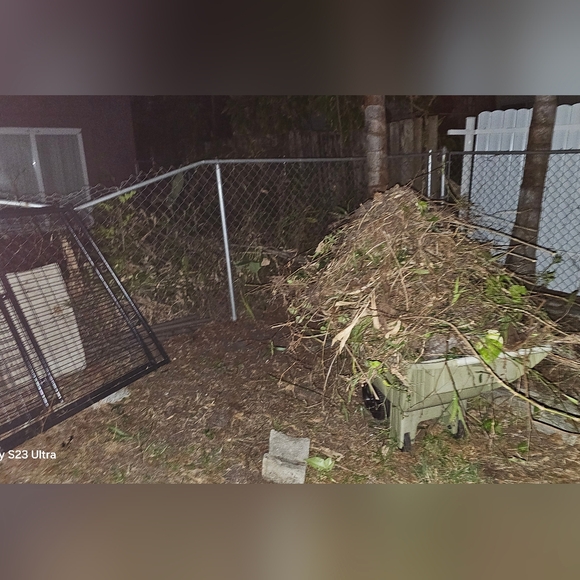 Donate For CALYPSO- Formula, Enrichment Toys & Incidental Care Items - Picture 7 of 15